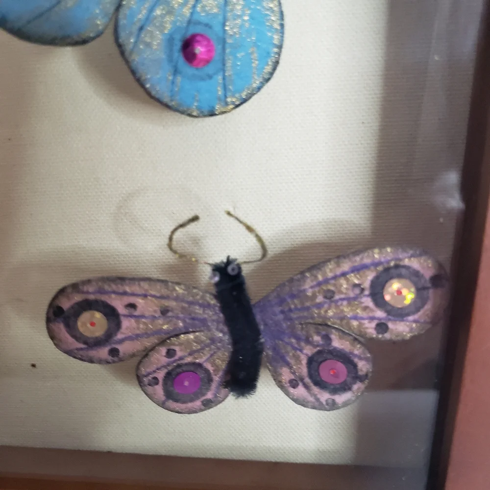 Butterflies arranged in a shadow box. 214